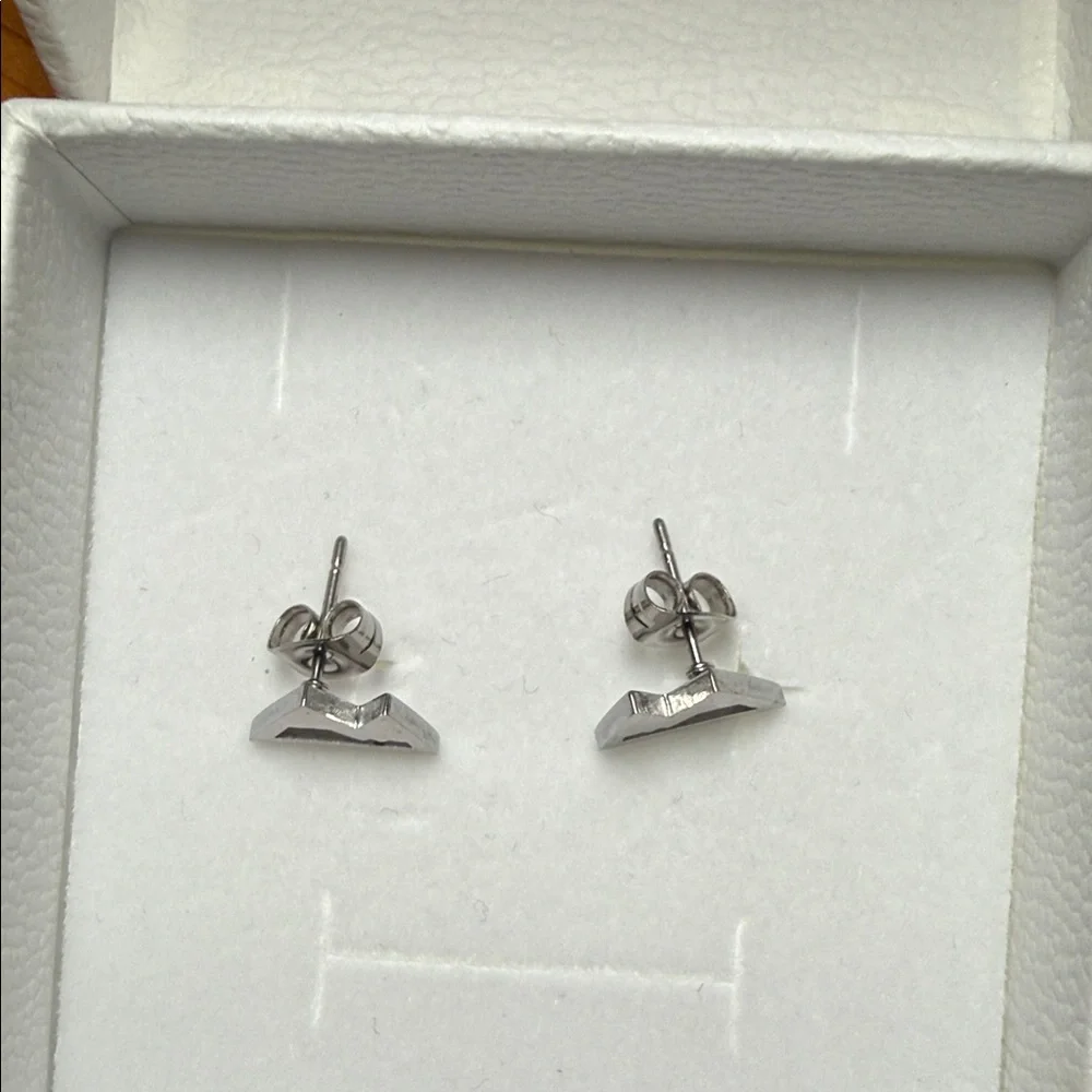 Silver Mountain Earrings